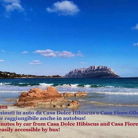 Casa Fiore * Olbia